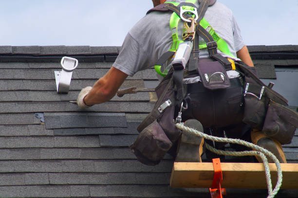 Best Roof Gutter Cleaning  in West Milton, OH